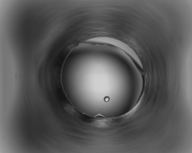 X0000099940190200805301224