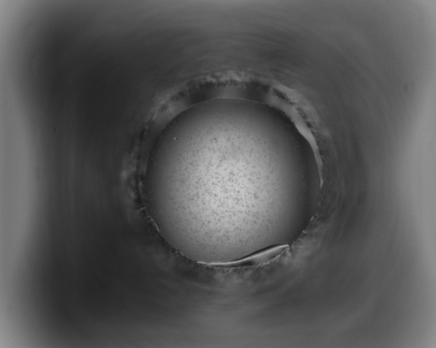 X0000099940192200805301224