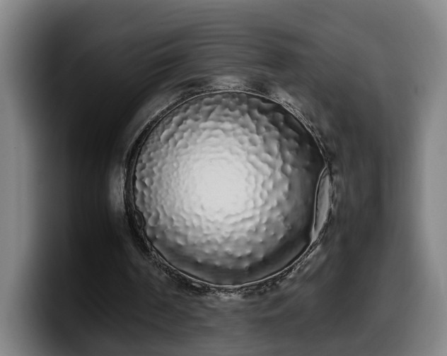 X0000099940194200805301223