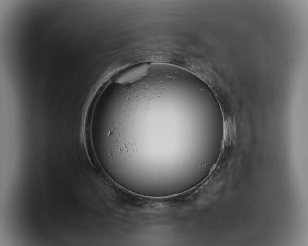 X0000099940195200805301223