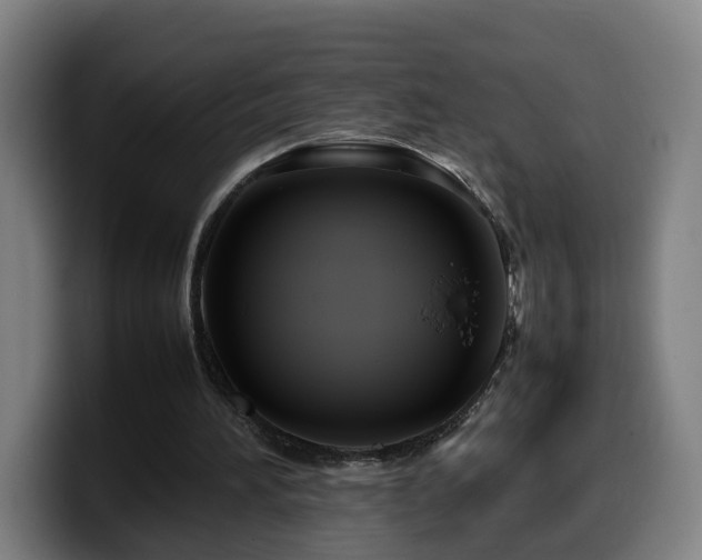 X0000099940196200805301223