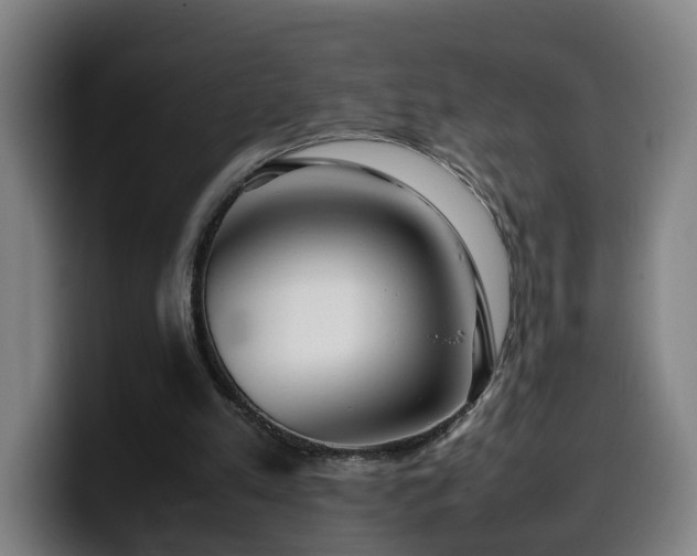 X0000099940197200805301223