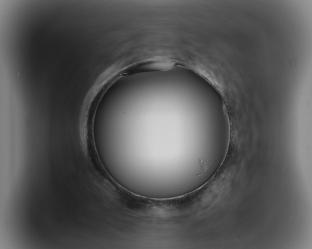 X0000099940199200805301223