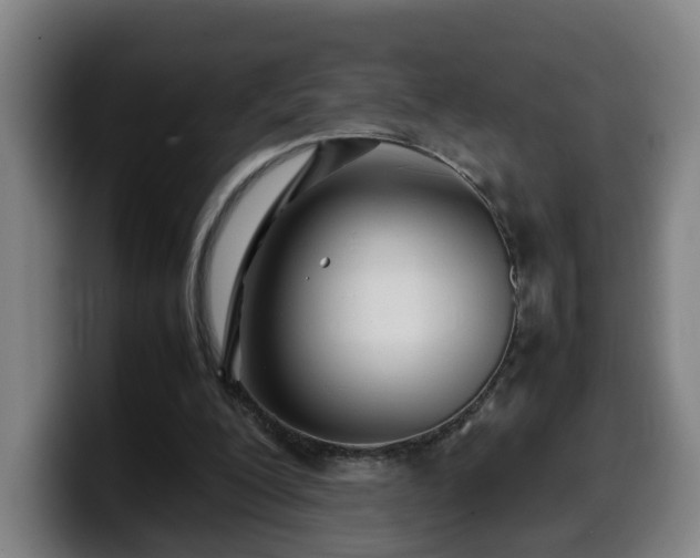 X0000099940200200805301223