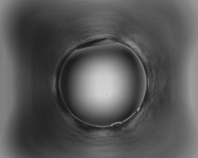 X0000099940201200805301223