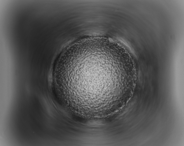 X0000099940202200805301223