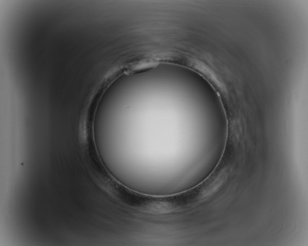 X0000099940203200805301223