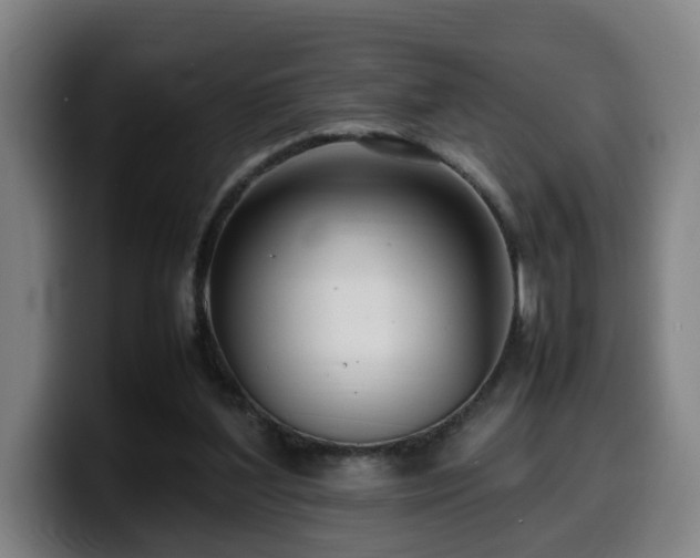 X0000099940204200805301223