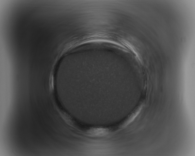X0000099940205200805301223