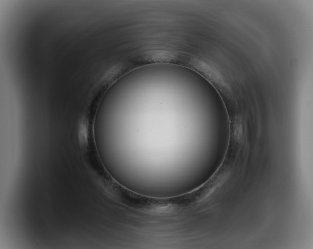 X0000099940206200805301223