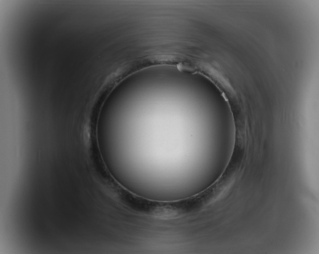 X0000099940207200805301223