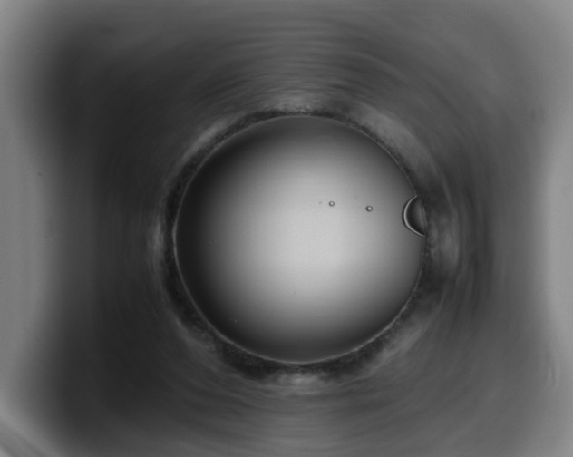 X0000099940208200805301223