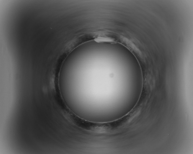 X0000099940209200805301223