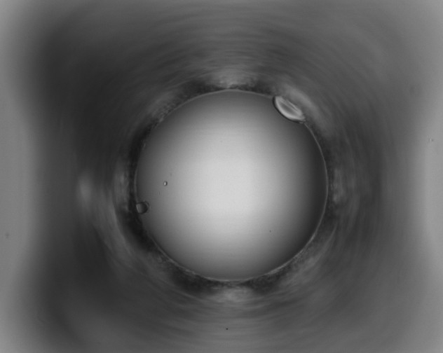 X0000099940210200805301223