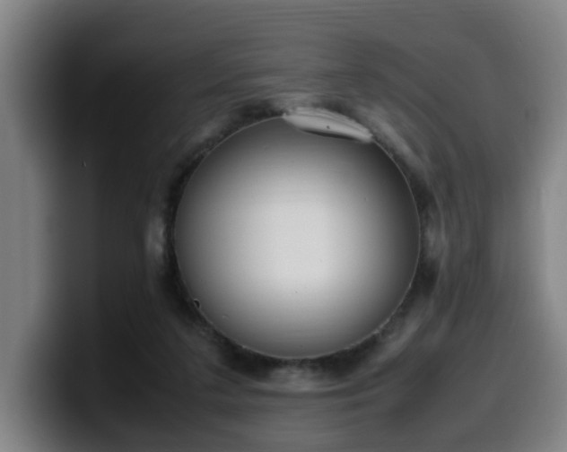X0000099940211200805301223