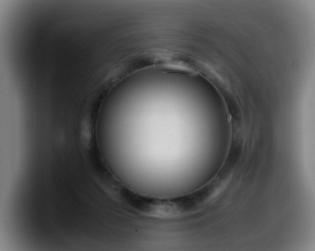 X0000099940215200805301223