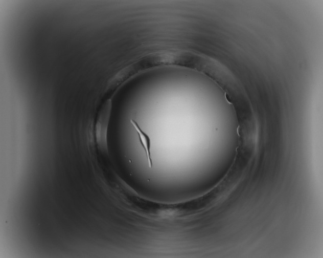 X0000099940216200805301223
