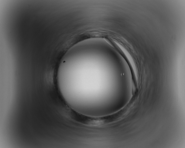 X0000099940217200805301223