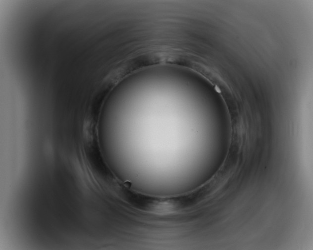 X0000099940218200805301223