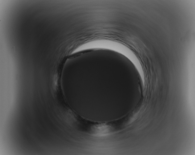 X0000099940219200805301223