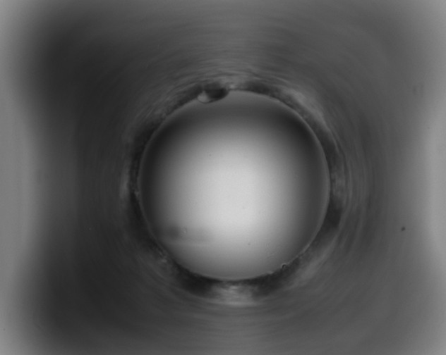 X0000099940221200805301223