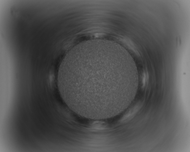 X0000099940222200805301223