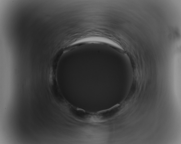 X0000099940223200805301223