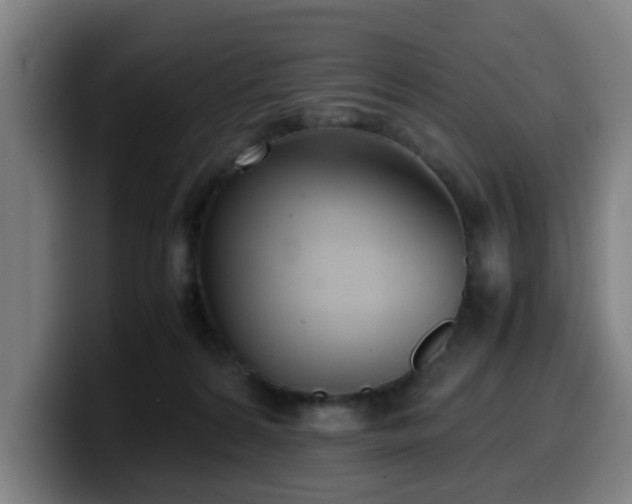 X0000099940224200805301223