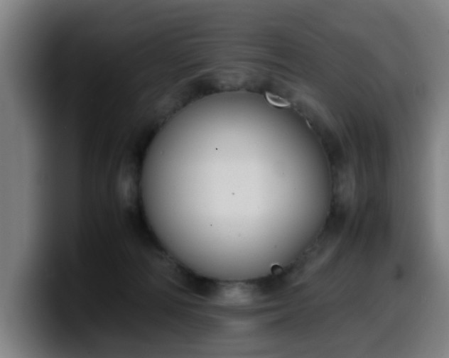 X0000099940226200805301223