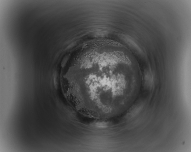 X0000099940228200805301223