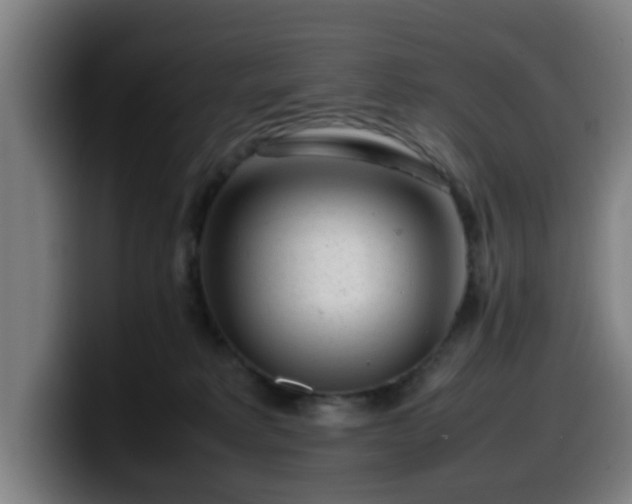X0000099940229200805301223