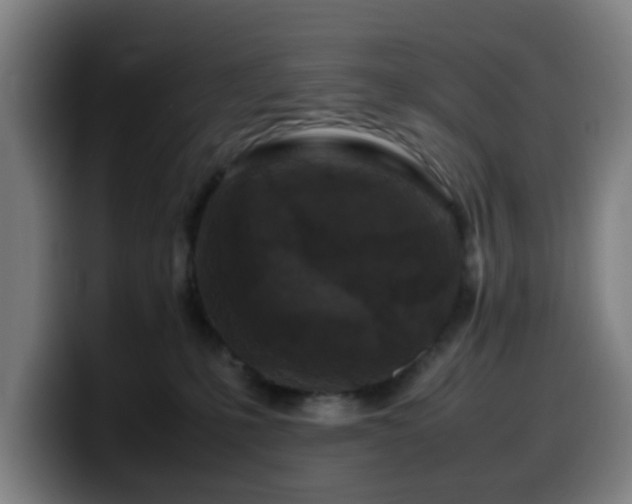 X0000099940231200805301223