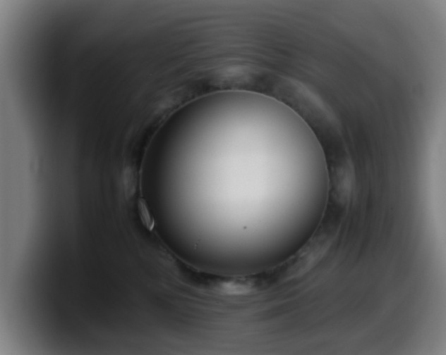X0000099940232200805301223