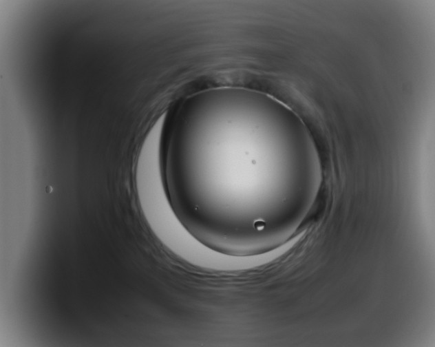 X0000099940233200805301223