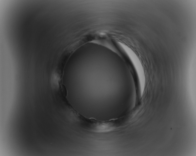 X0000099940235200805301223