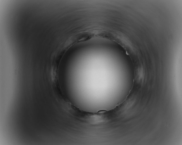 X0000099940236200805301223