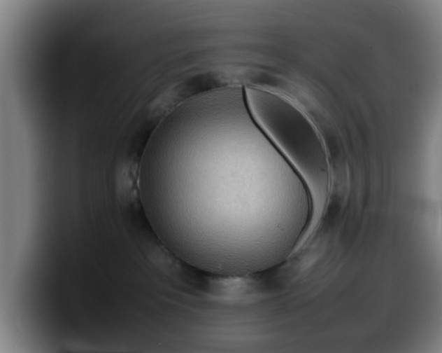X0000099940237200805301223