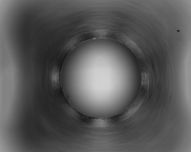 X0000099940238200805301223