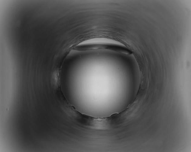 X0000099940240200805301223