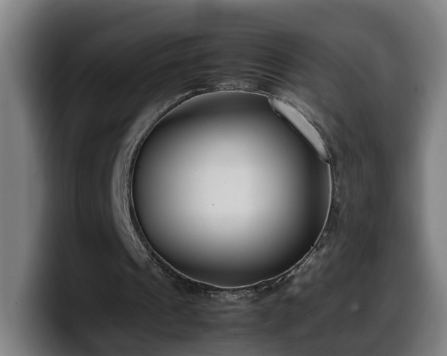 X0000099940241200805301222