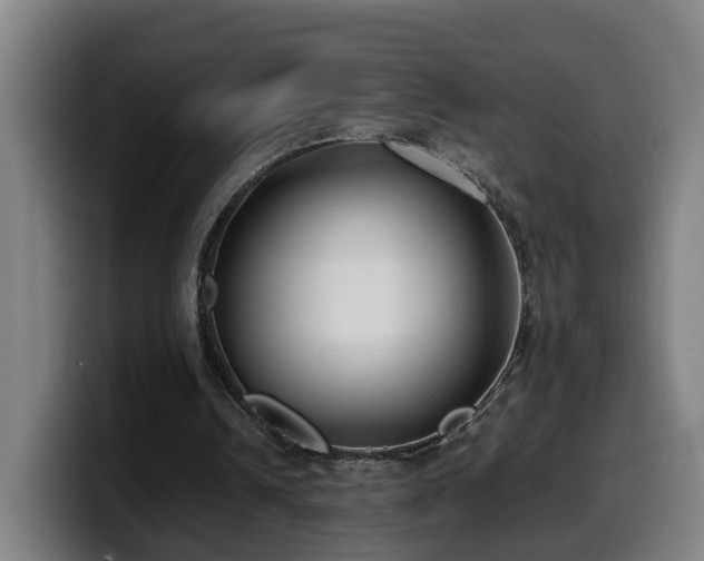 X0000099940242200805301222