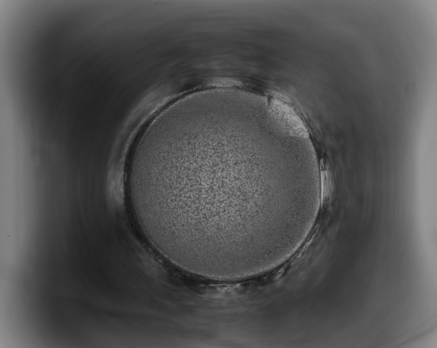 X0000099940243200805301222