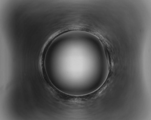 X0000099940244200805301222