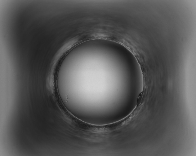 X0000099940245200805301222