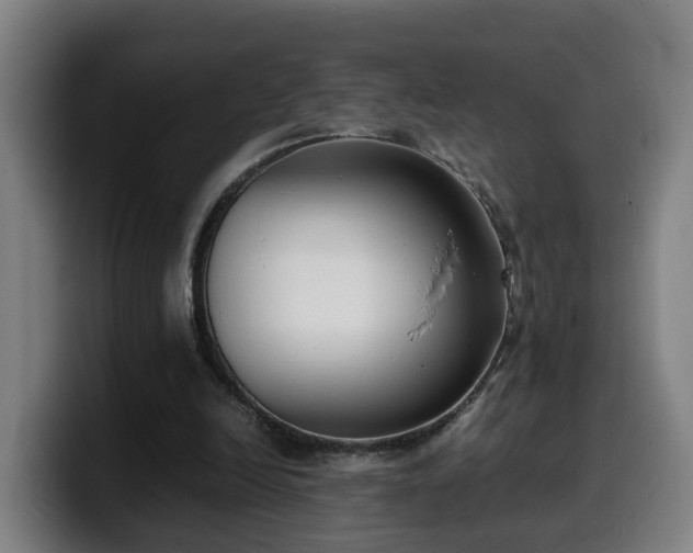 X0000099940246200805301222