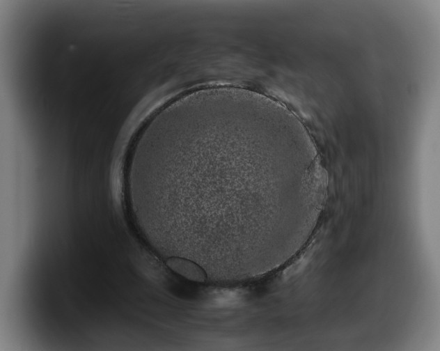 X0000099940247200805301222