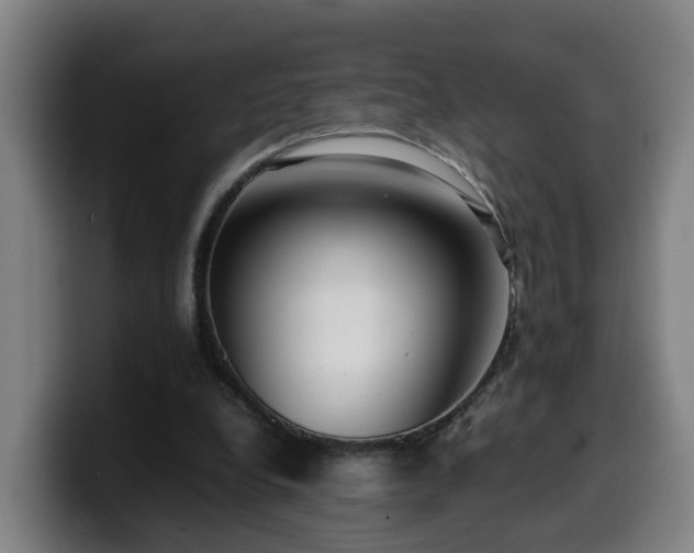 X0000099940248200805301222