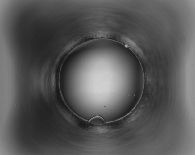 X0000099940250200805301222