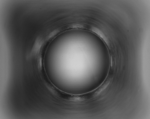 X0000099940253200805301222
