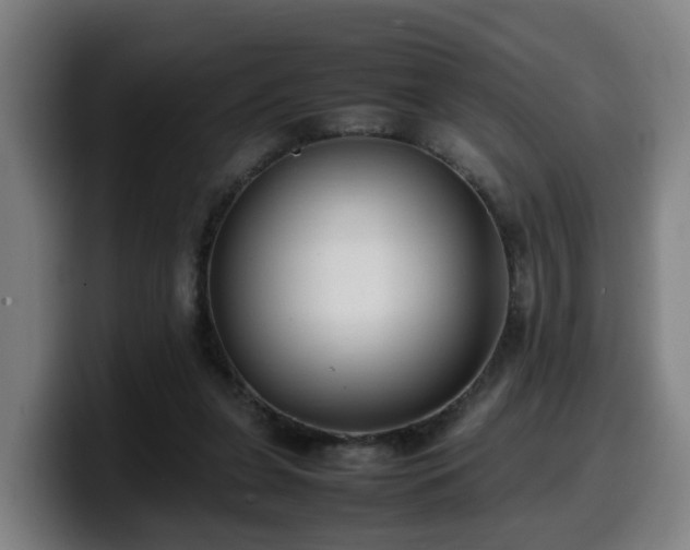 X0000099940255200805301223